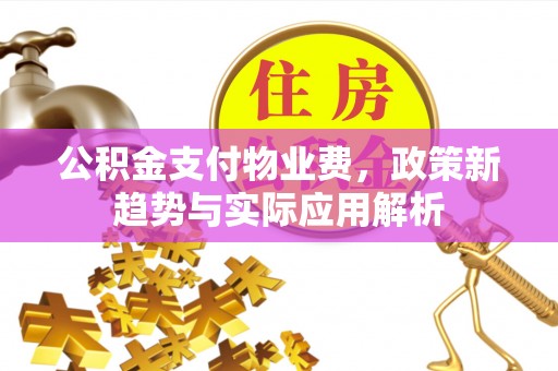 迭部公积金支付物业费，政策新趋势与实际应用解析