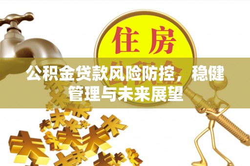 迭部公积金贷款风险防控，稳健管理与未来展望