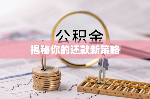 迭部揭秘你的还款新策略