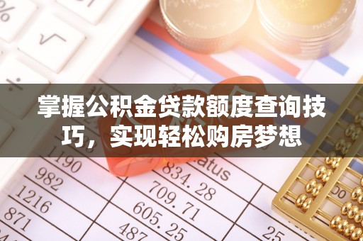 迭部掌握公积金贷款额度查询技巧，实现轻松购房梦想