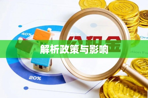 迭部解析政策与影响