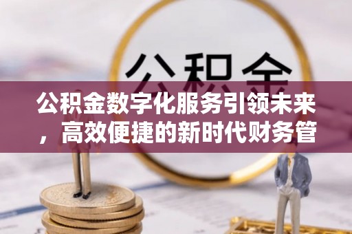 迭部公积金数字化服务引领未来，高效便捷的新时代财务管理
