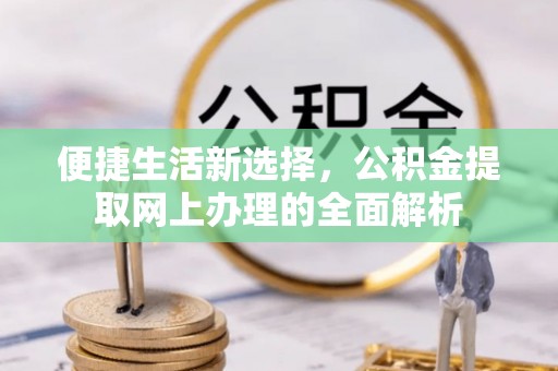 迭部便捷生活新选择，公积金提取网上办理的全面解析