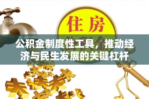 迭部公积金制度性工具，推动经济与民生发展的关键杠杆