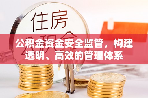 迭部公积金资金安全监管，构建透明、高效的管理体系