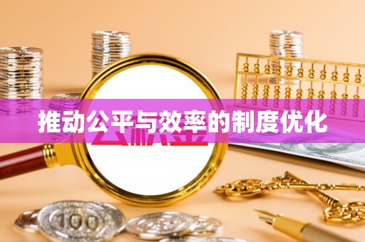 迭部推动公平与效率的制度优化