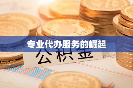 迭部专业代办服务的崛起