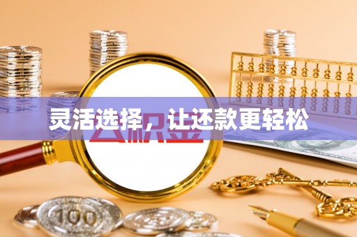 迭部灵活选择，让还款更轻松