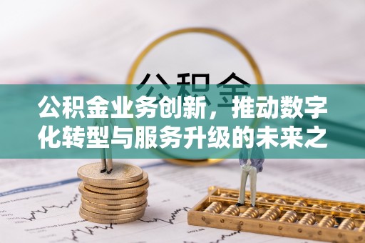 迭部公积金业务创新，推动数字化转型与服务升级的未来之路