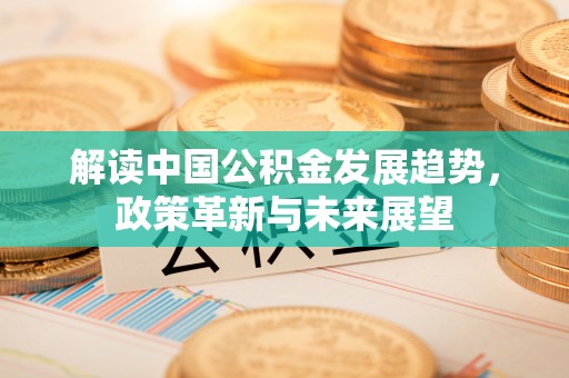 迭部解读中国公积金发展趋势，政策革新与未来展望