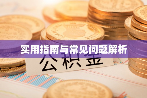 迭部实用指南与常见问题解析
