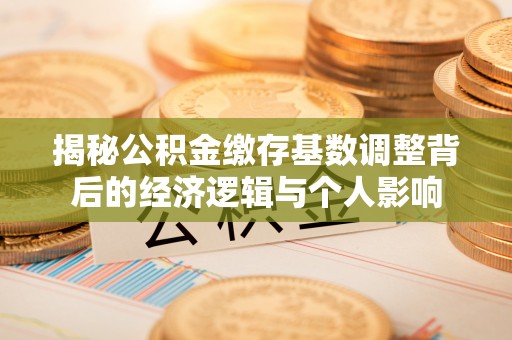 迭部揭秘公积金缴存基数调整背后的经济逻辑与个人影响