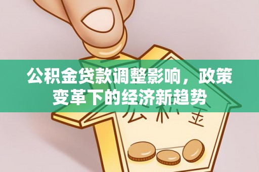 迭部公积金贷款调整影响，政策变革下的经济新趋势