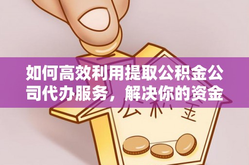 迭部如何高效利用提取公积金公司代办服务，解决你的资金难题