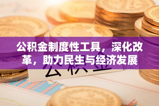 迭部公积金制度性工具，深化改革，助力民生与经济发展