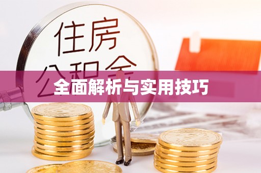 迭部全面解析与实用技巧