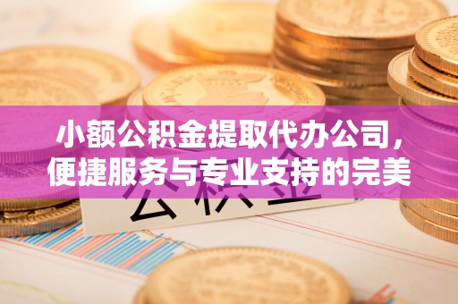 迭部小额公积金提取代办公司，便捷服务与专业支持的完美结合