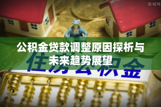 迭部公积金贷款调整原因探析与未来趋势展望
