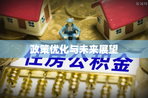 迭部政策优化与未来展望
