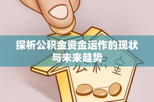 迭部探析公积金资金运作的现状与未来趋势