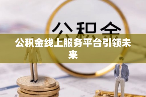 迭部公积金线上服务平台引领未来