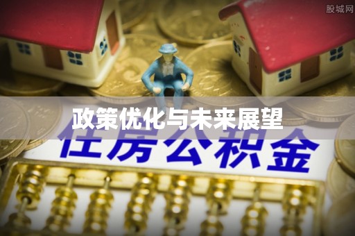 迭部政策优化与未来展望