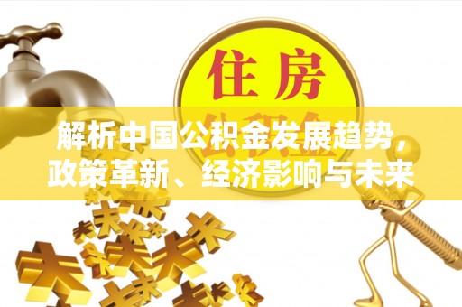 迭部解析中国公积金发展趋势，政策革新、经济影响与未来展望