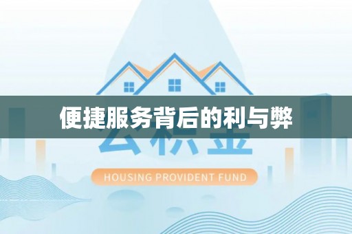 迭部便捷服务背后的利与弊