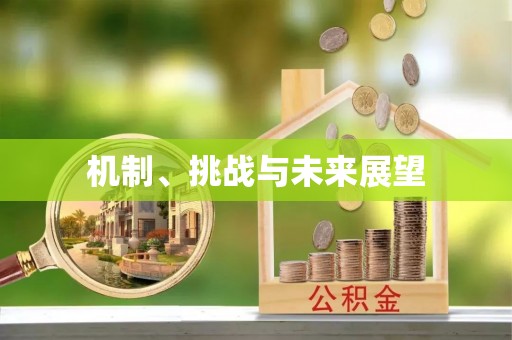 迭部机制、挑战与未来展望