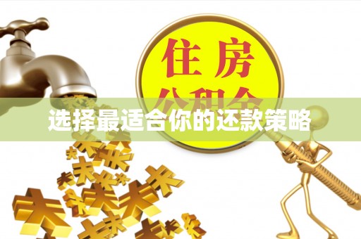 迭部选择最适合你的还款策略