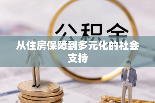 迭部从住房保障到多元化的社会支持