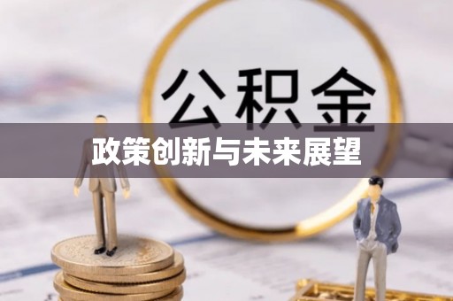 迭部政策创新与未来展望